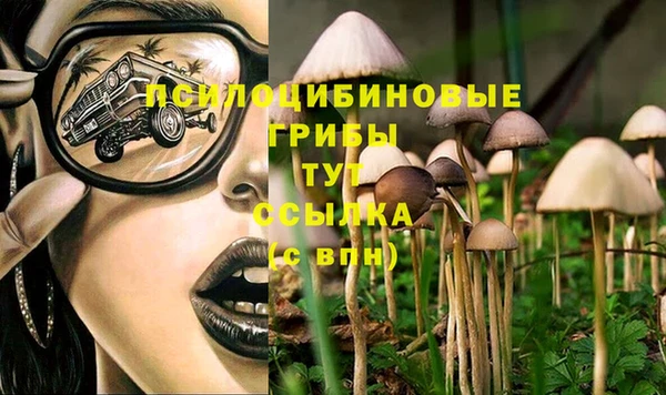 мет Лагань