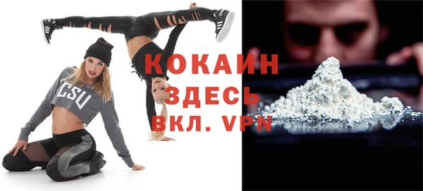 шишки Ладушкин