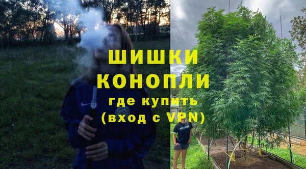 мет Лагань