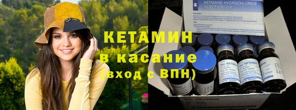 шишки Ладушкин
