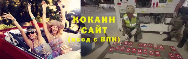 шишки Ладушкин