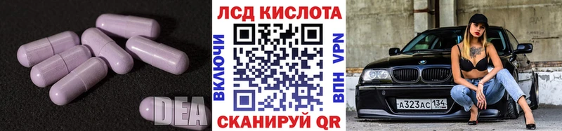 Купить  Губкин  LSD-25 экстази кислота 