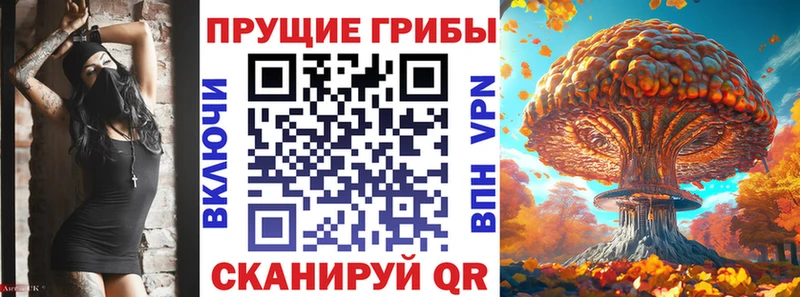 Купить где  Губкин  Галлюциногенные грибы Psilocybe 